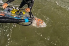 Windsurf Go pro Blåvand