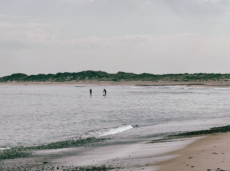 Havgus Klitmøller surfere