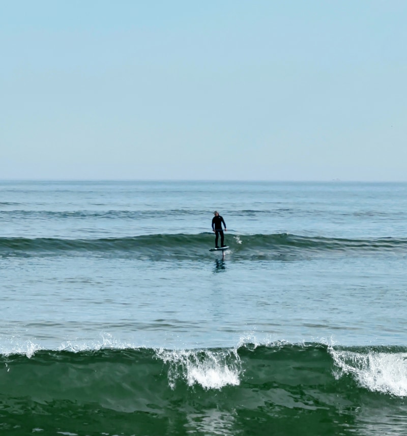 Havgus Klitmøller surfere